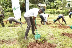 Kingdom Bank employee planting a tree 