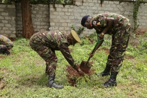 Two KDF soldiers helping plant a tree at the Kingdom Bank Tree planting event