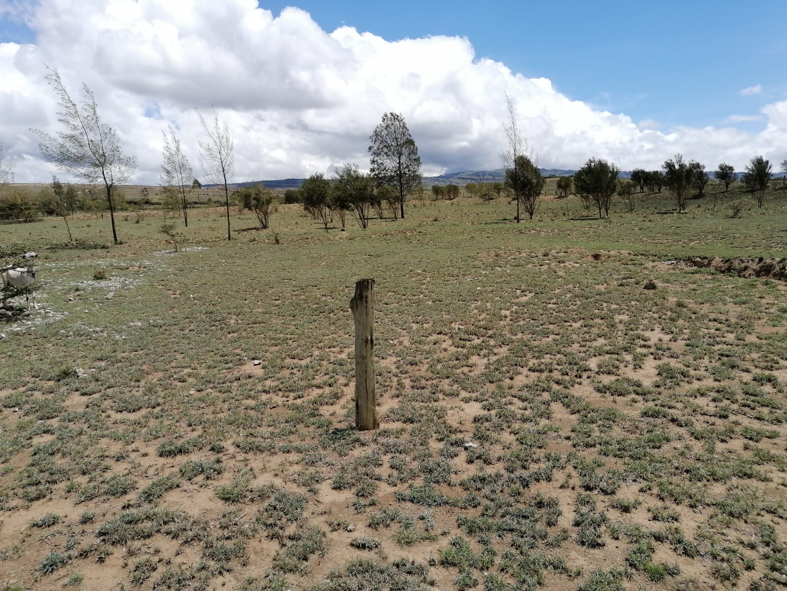 NaivashaMwichiringiri - Block 43177 Industrial Property-1 - Kingdom Bank Ltd Industrial Property in Nakuru County